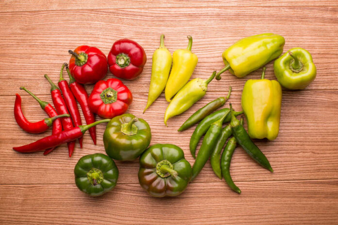 Background,With,Hot,Pepper.,Different,Varieties,Of,Pepper,-,Chili,