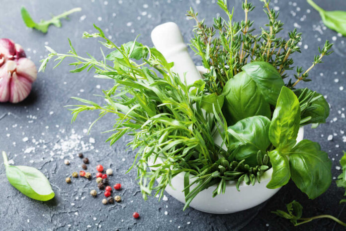 Fresh,Green,Garden,Herbs,In,Mortar,Bowl,And,Spices,On